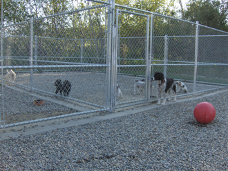 Dog Runs