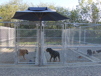 Dog Runs